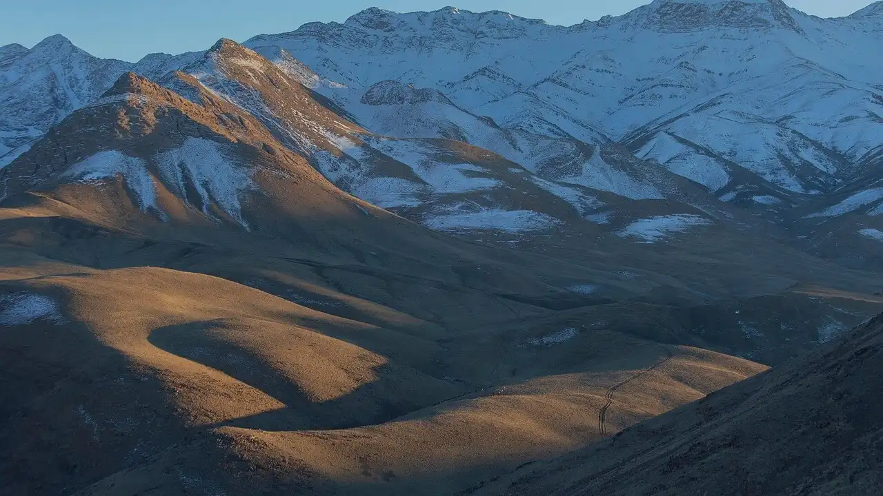 Understanding Ta'arof: The Complexity Of Persian Politeness